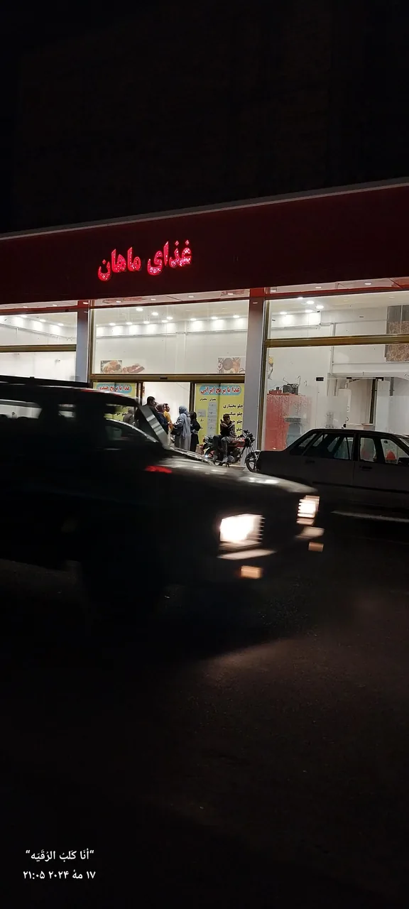 غذای ماهان - تصویر 2