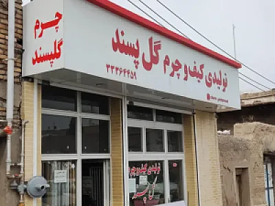 کیف و کفش چرم گل پسند