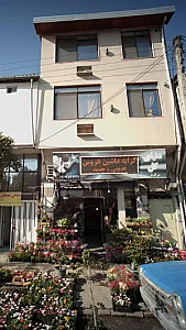 دنیای گل مرادیان