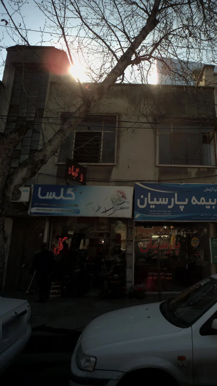 گلسا - تصویر 2