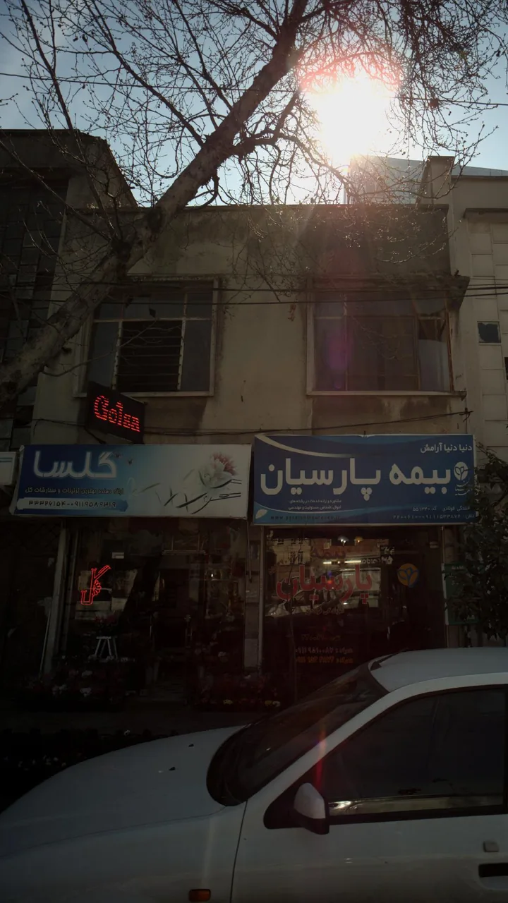 گلسا - تصویر 4