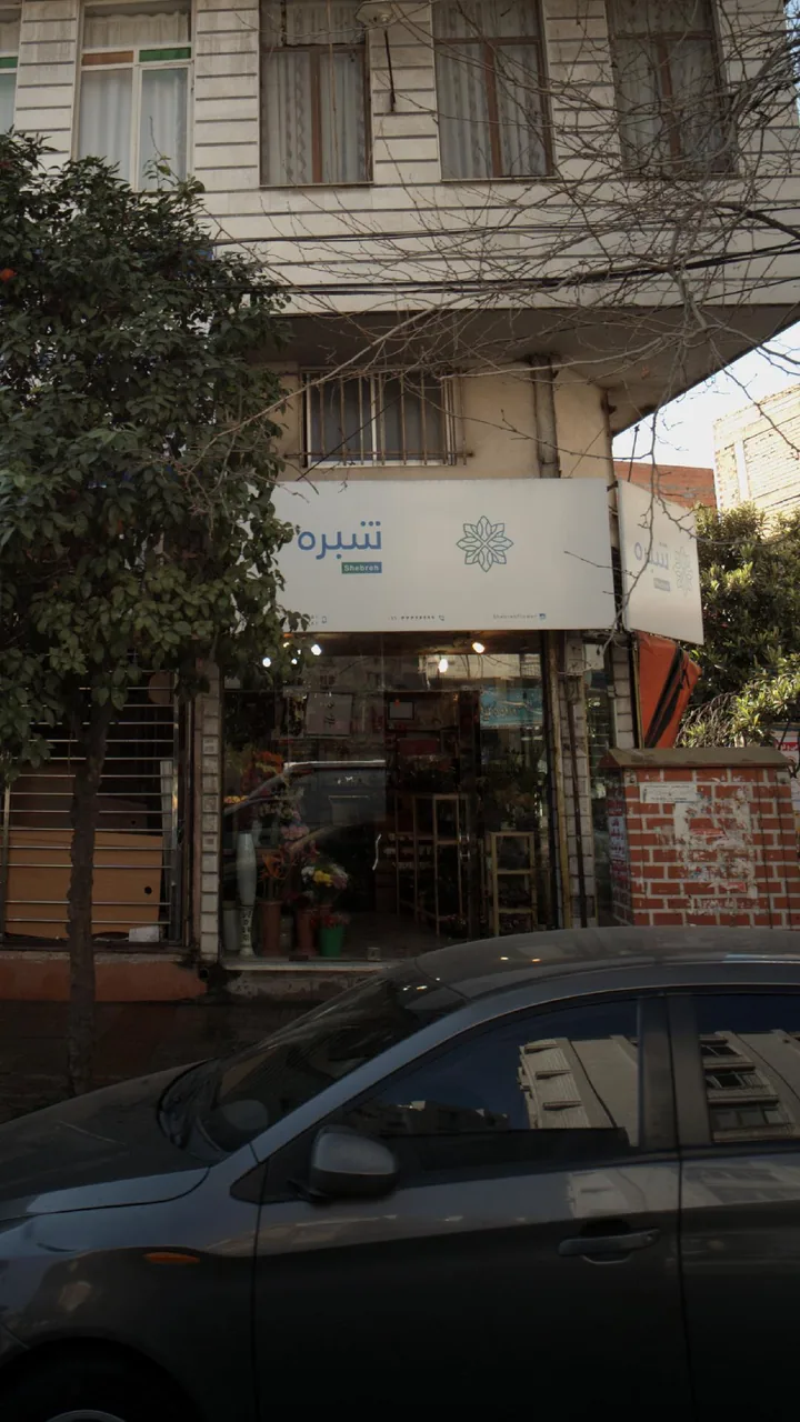 شبره - تصویر 4