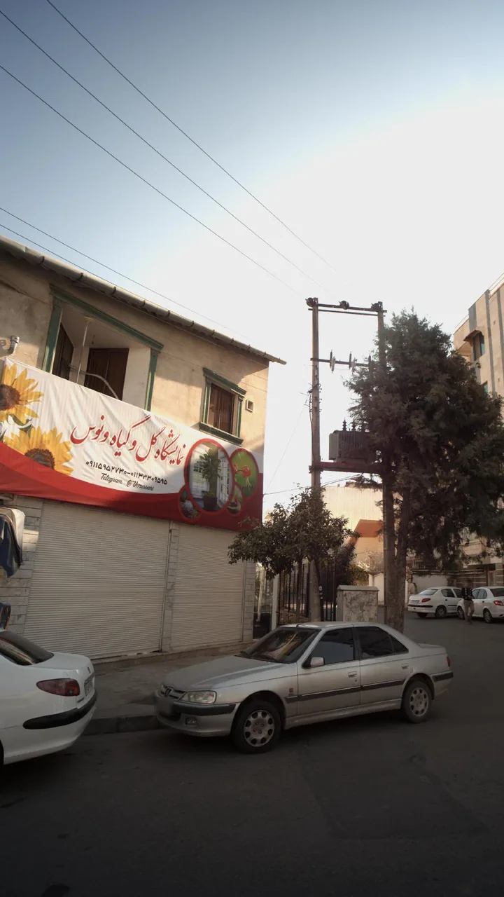 نمایشگاه گل و گیاه ونوس