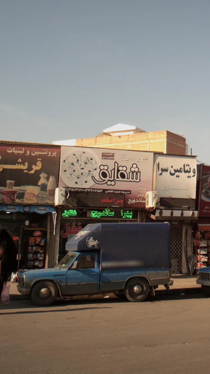 شقایق - تصویر 2