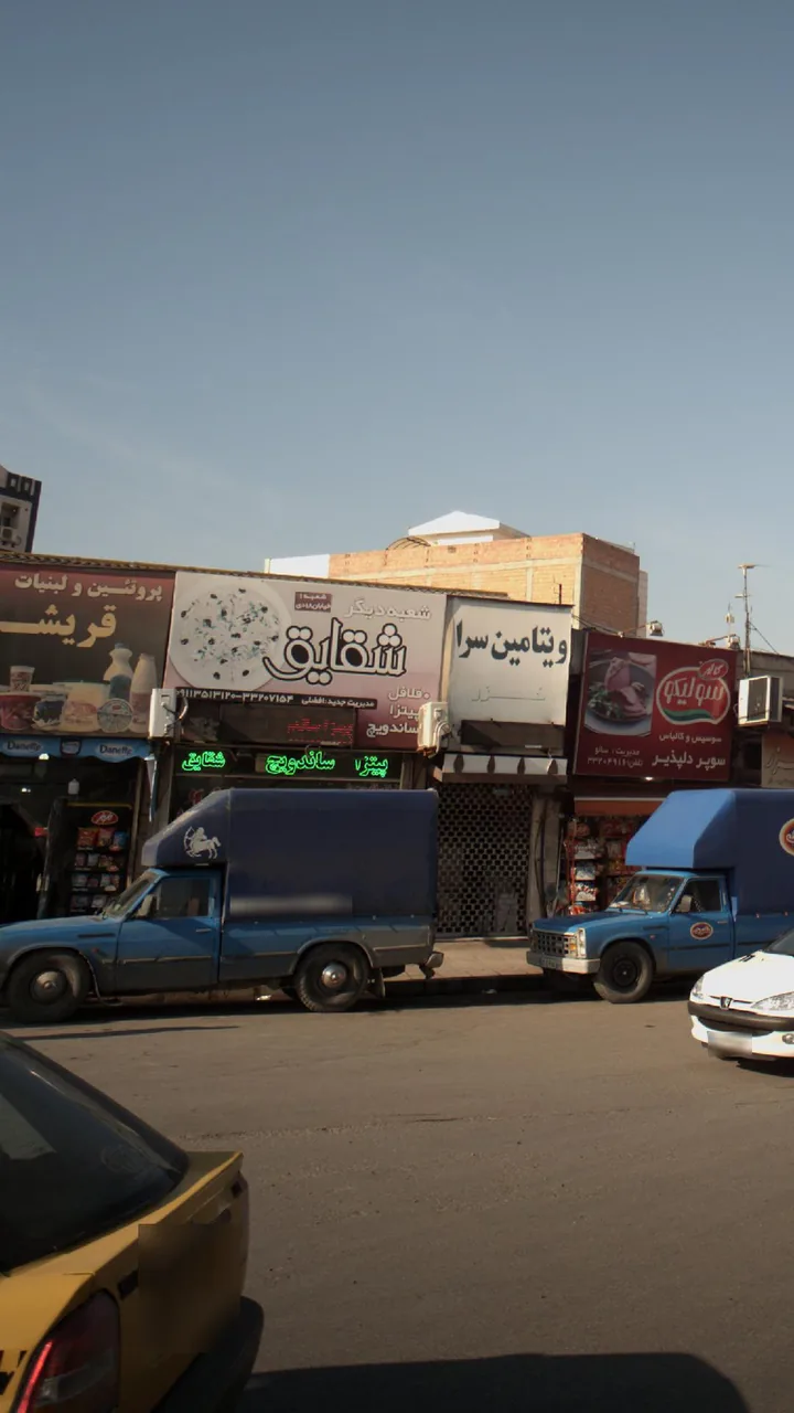 شقایق - تصویر 3