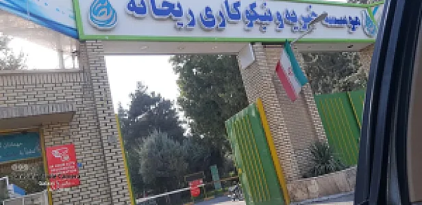 موسسیه خیریه و نیکوکاری ریحانه