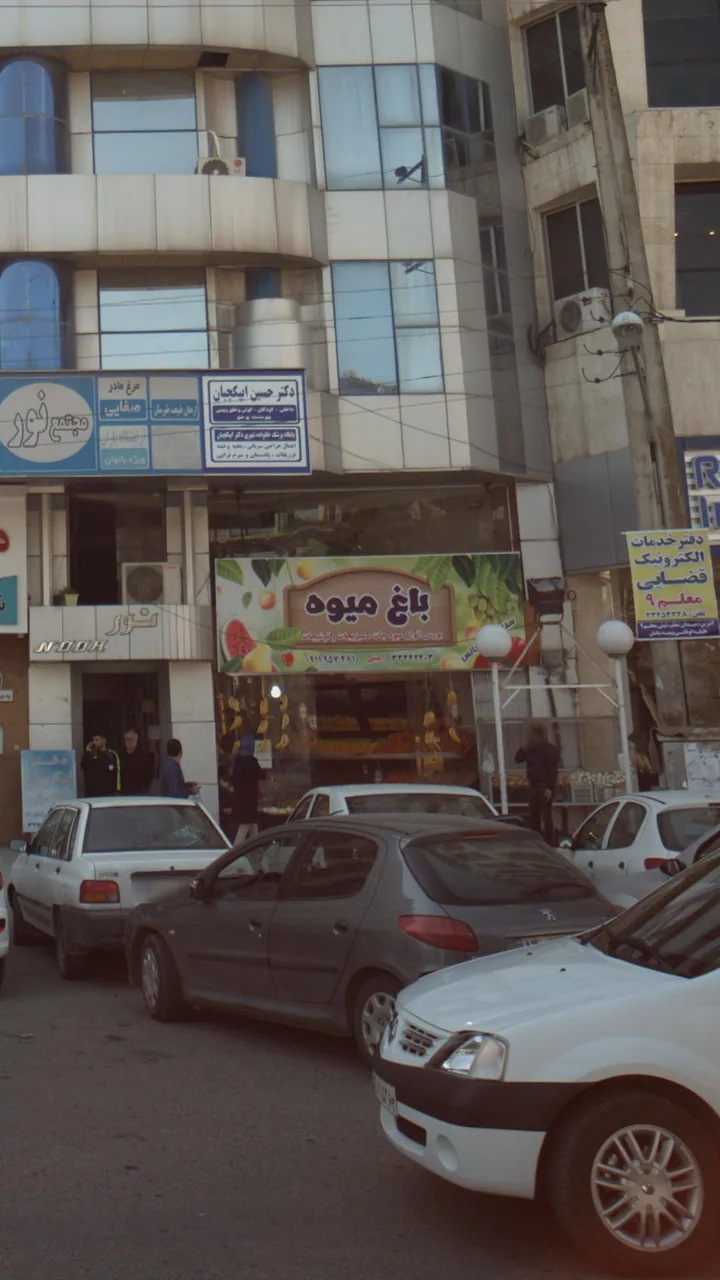 باغ میوه - تصویر 2