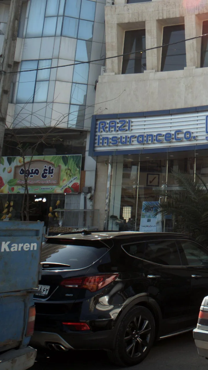 باغ میوه - تصویر 6