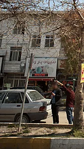 میوه بار رضا