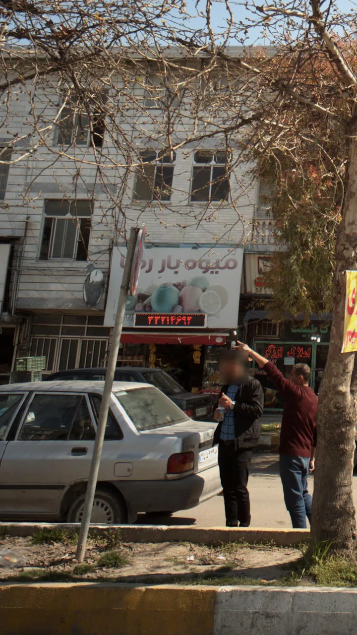 میوه بار رضا