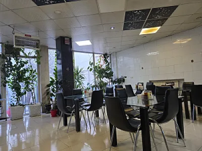 طباخی بره سفید