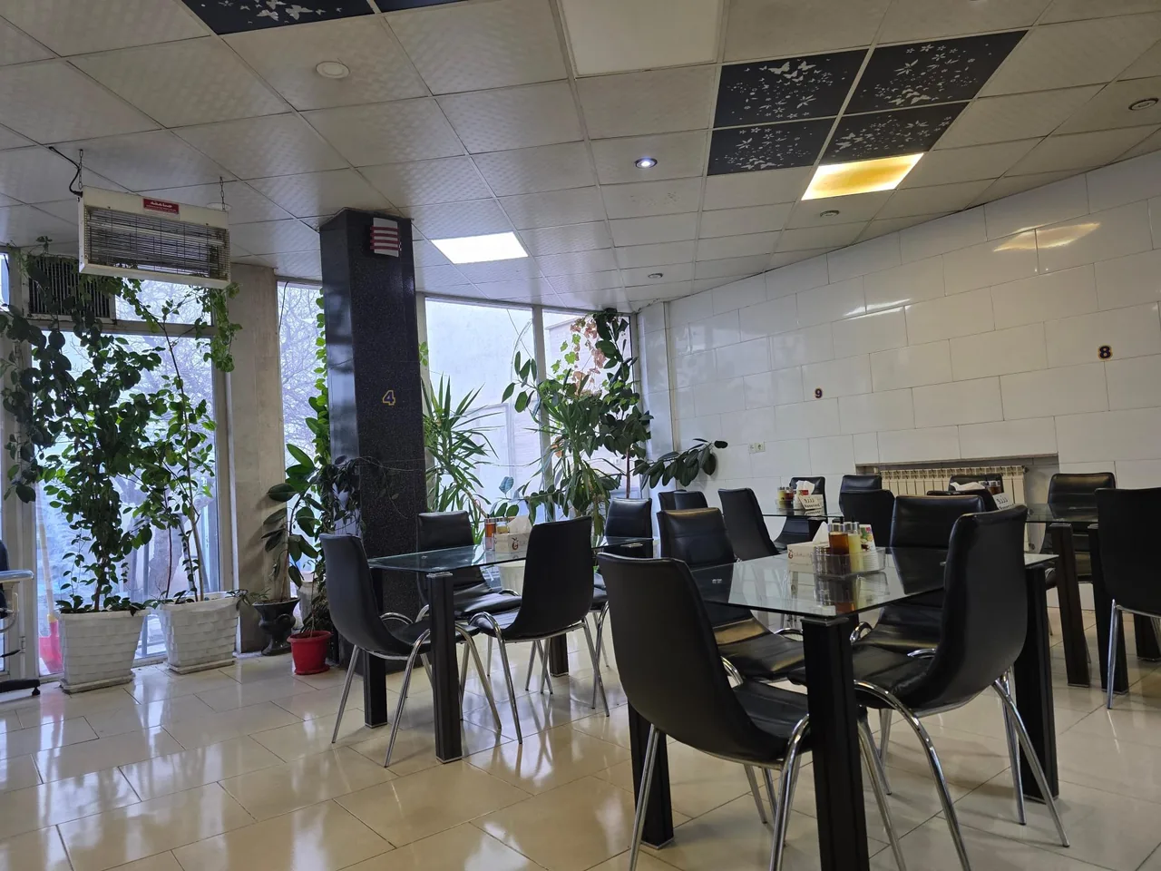 طباخی بره سفید
