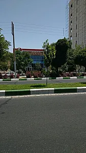 پیتزا 2000 (شعبه آزادی)
