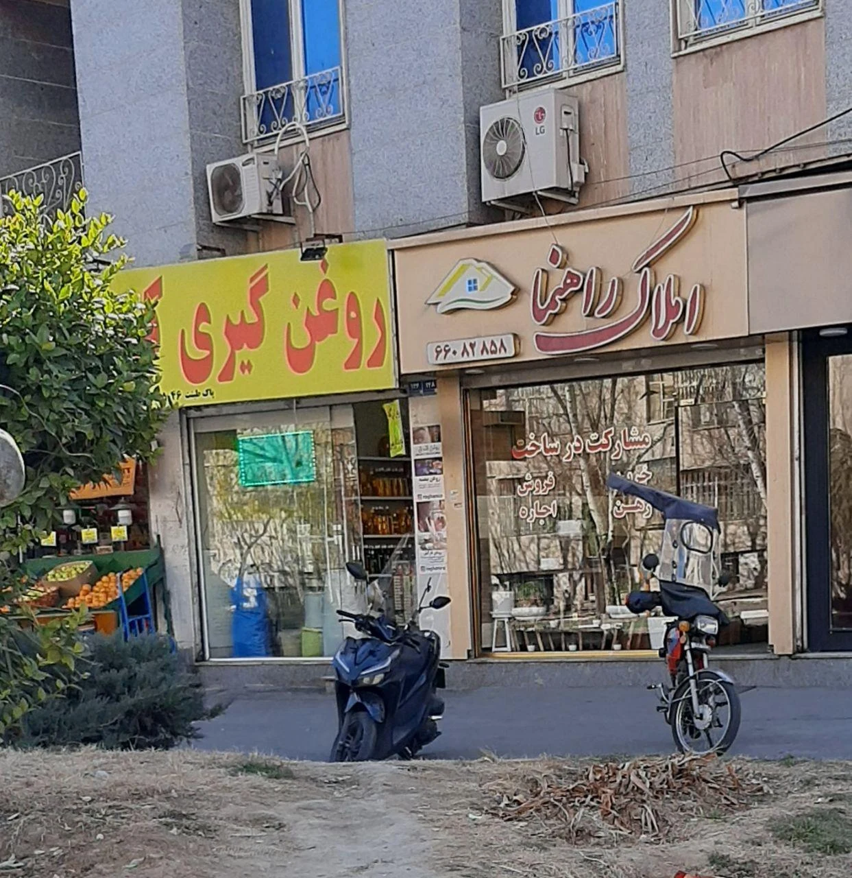 روغن گیری کنجد و بادام زمینی - تصویر 3