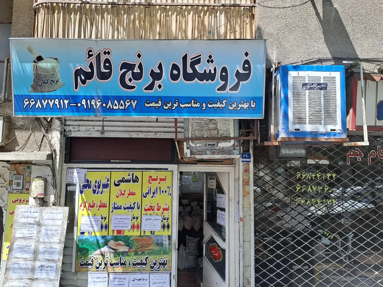 برنج فروشی قائم - تصویر 5