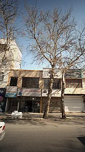 دکتر خدیجه نوروزی
