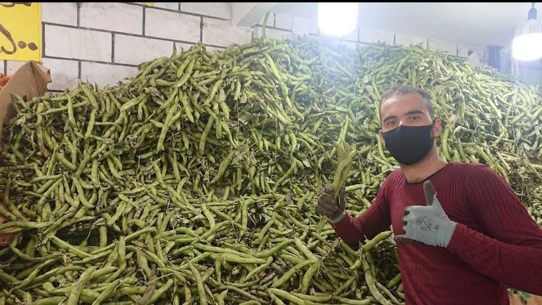 فروشگاه میوه حاجی ارزونی کمیل - تصویر 4