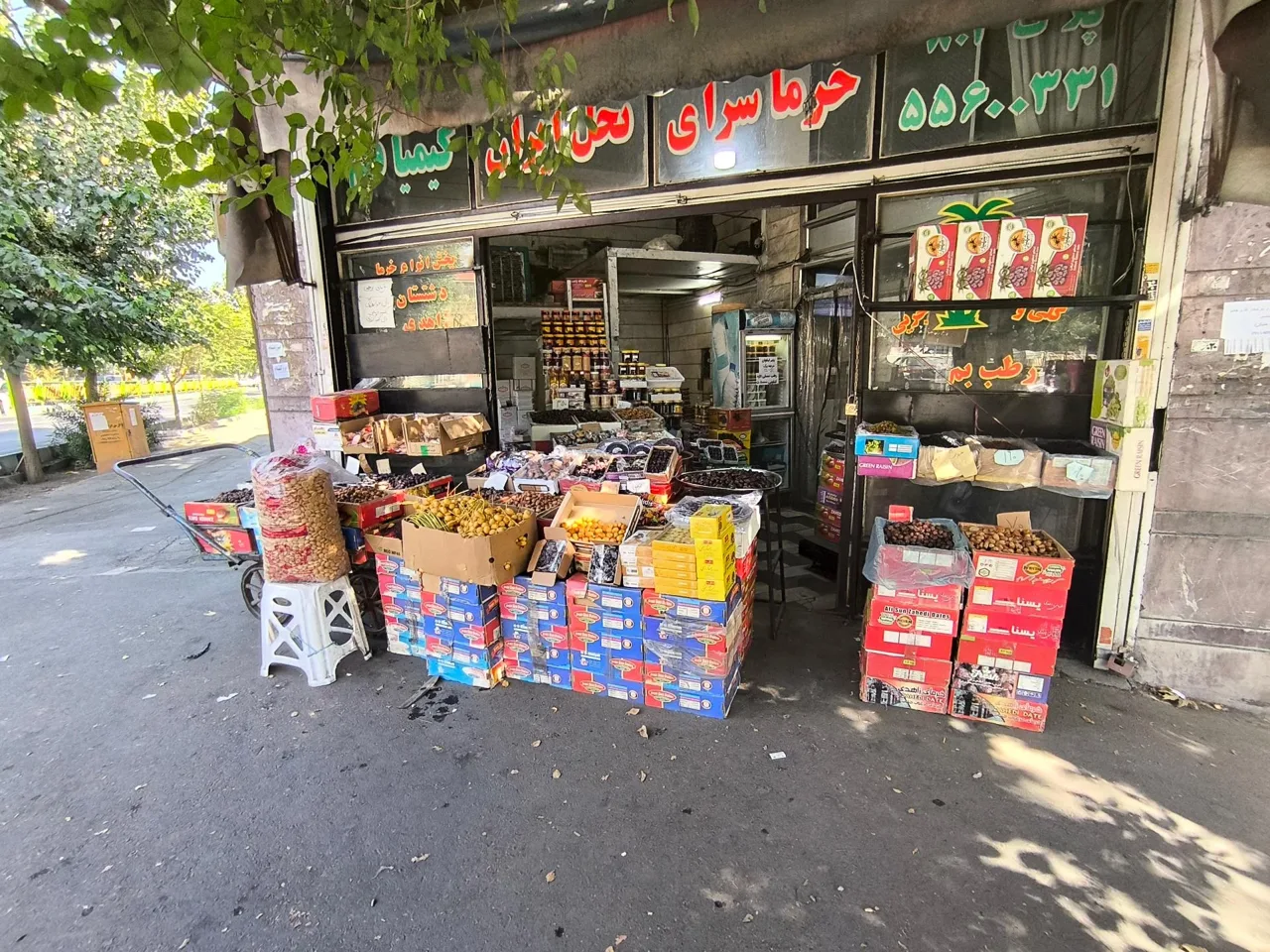 خرماسرای نخل ایران کیمیا قلم - تصویر 2