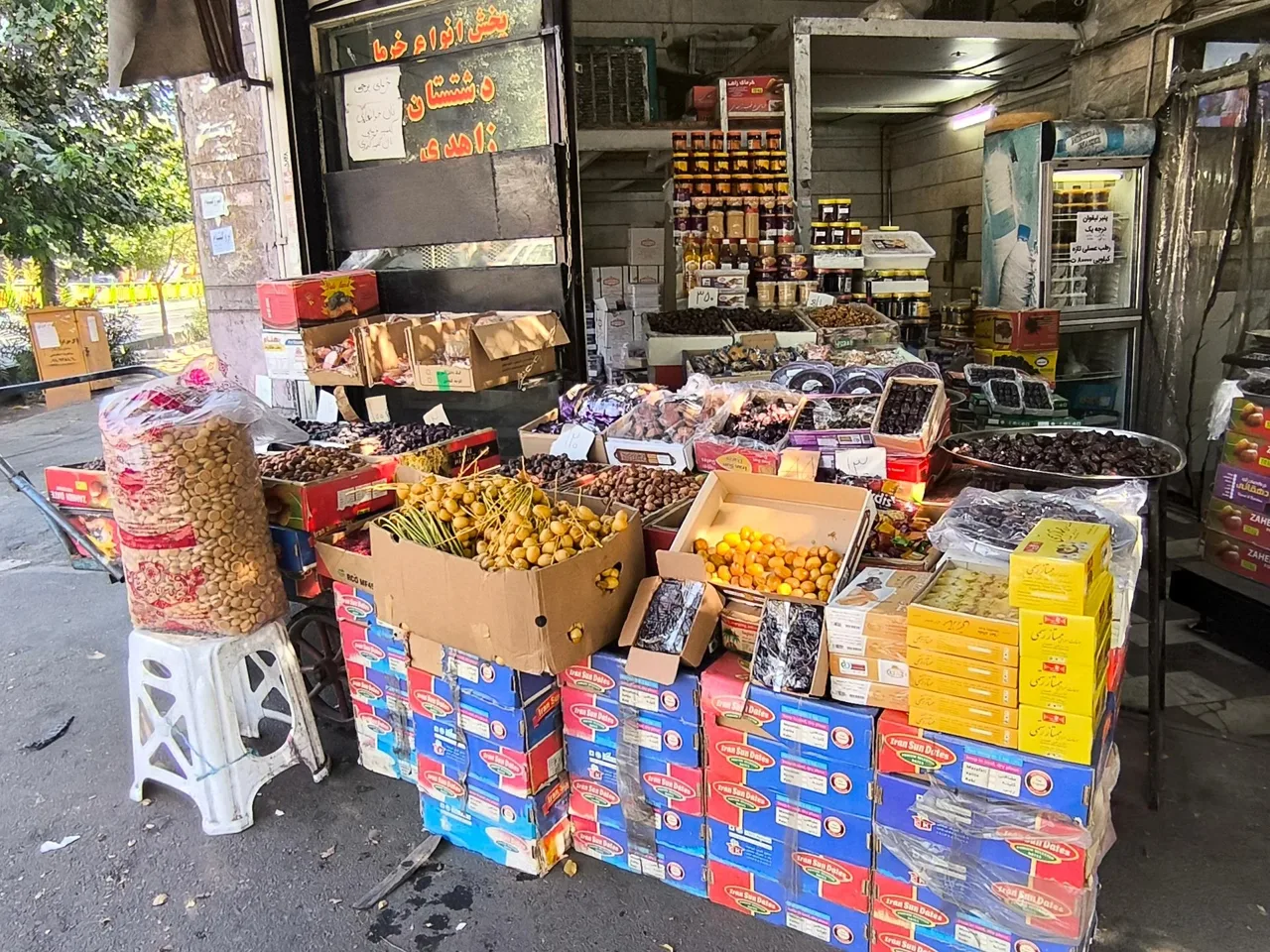 خرماسرای نخل ایران کیمیا قلم - تصویر 3