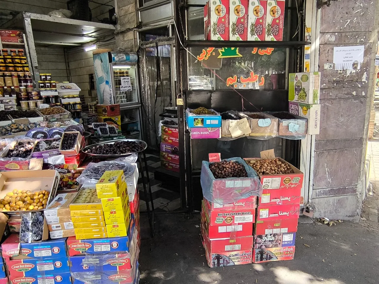 خرماسرای نخل ایران کیمیا قلم - تصویر 4