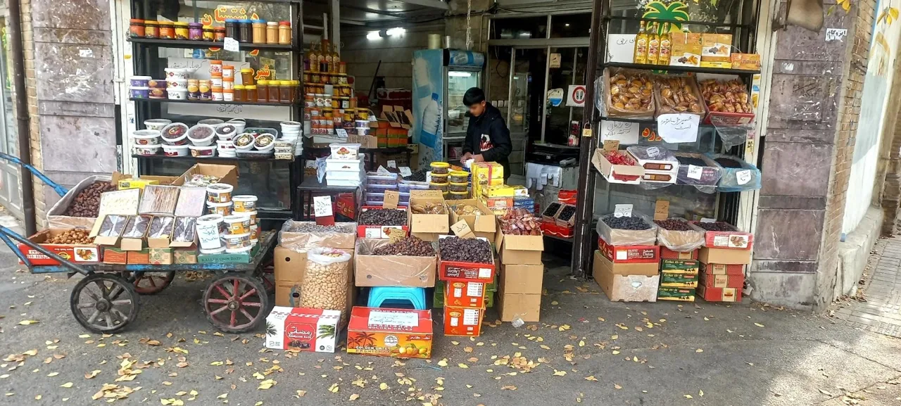 خرماسرای نخل ایران کیمیا قلم - تصویر 5