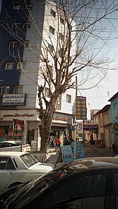 دکتر ماریا مطیع جهانی