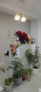 مطب دندانپزشکی دکتر رقیه احمدی آسوری