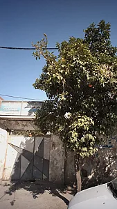 کلینیک دکتر نقی عابدینی