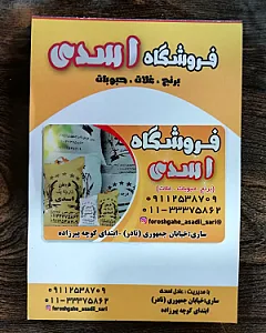 فروشگاه اسدی