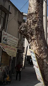 فروشگاه ماشی آلات کشاورزی خباز