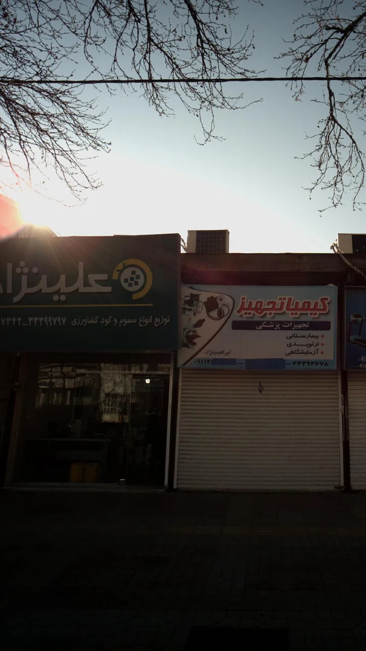 علینژاد
