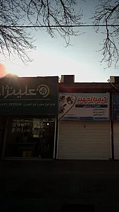 علینژاد