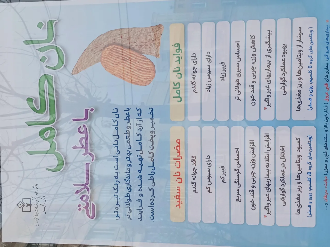نان سبوسدار