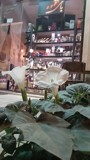 کافه بای قهوه