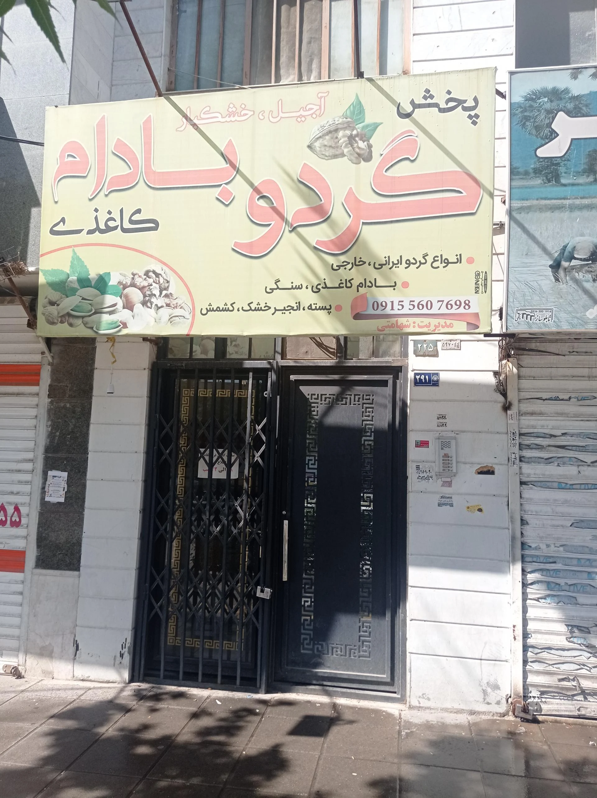 آجیل و خشکبار تنومند - آجیل و خشکبار در مشهد