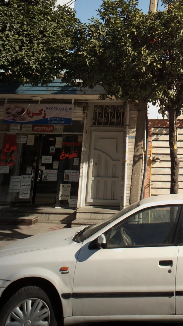 مرغ و پروتئینه زکریا