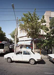 آجیل و خشکبار آذربایجان