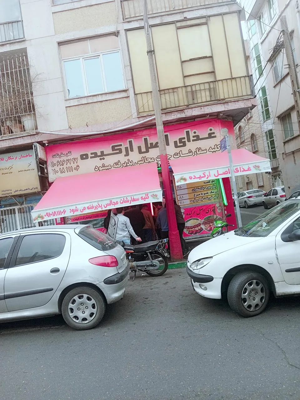 غذای اصل ارکیده - تصویر 3