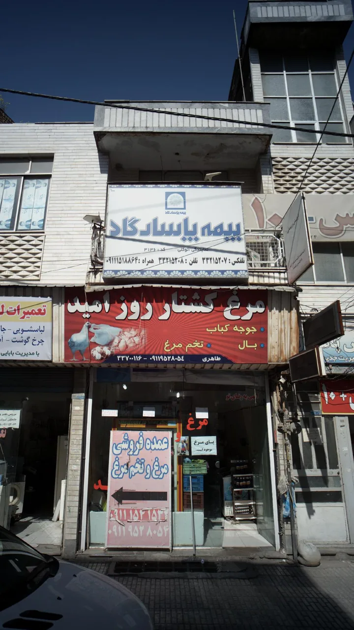 مرغ کشتار روز امید