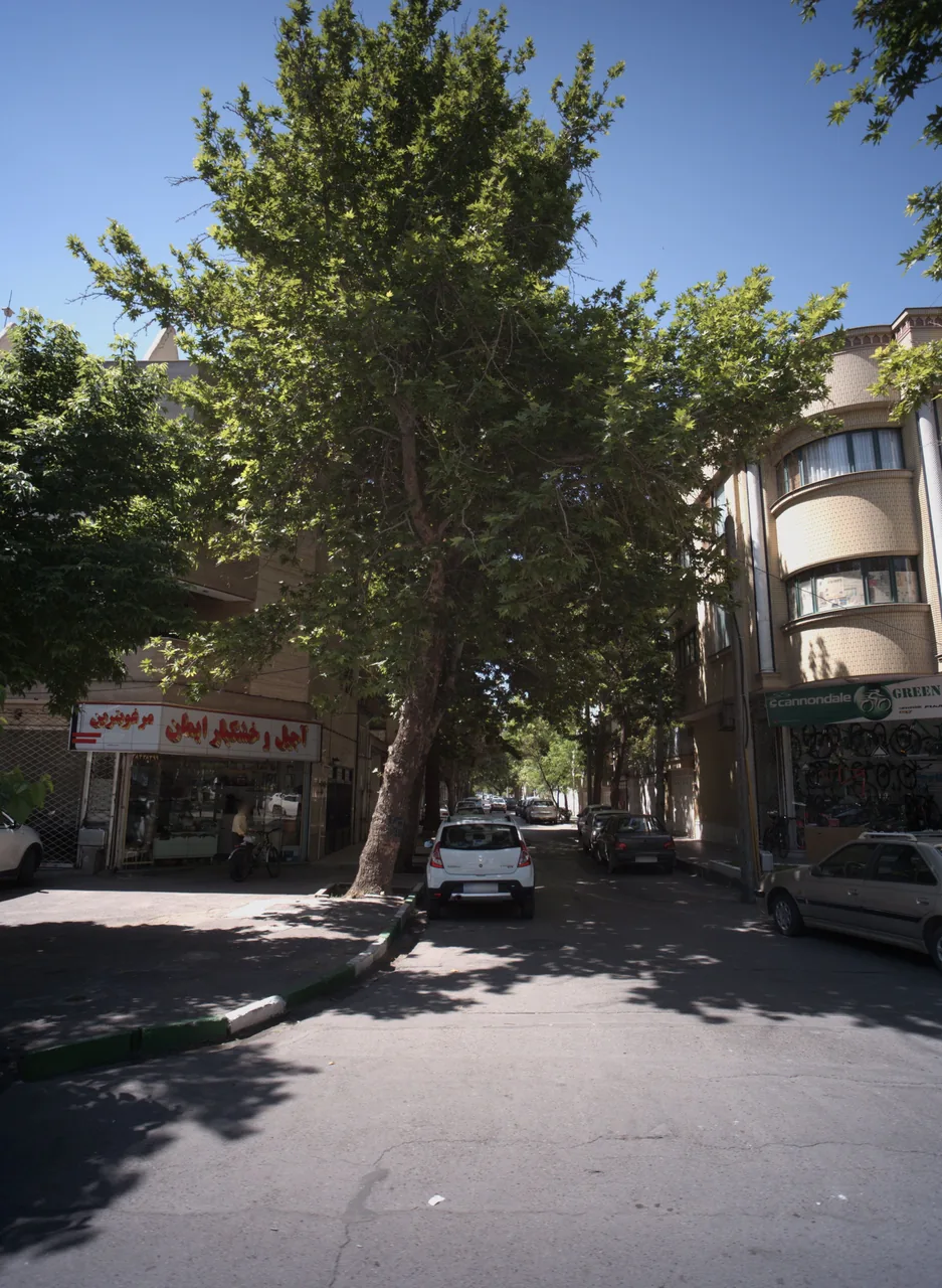 آجیل و خشکبار ایمان