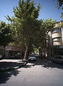 آجیل و خشکبار ایمان