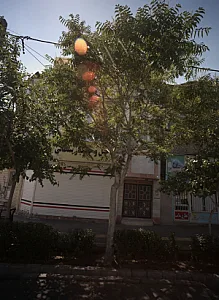 آجیل و خشکبار علی سلطانی