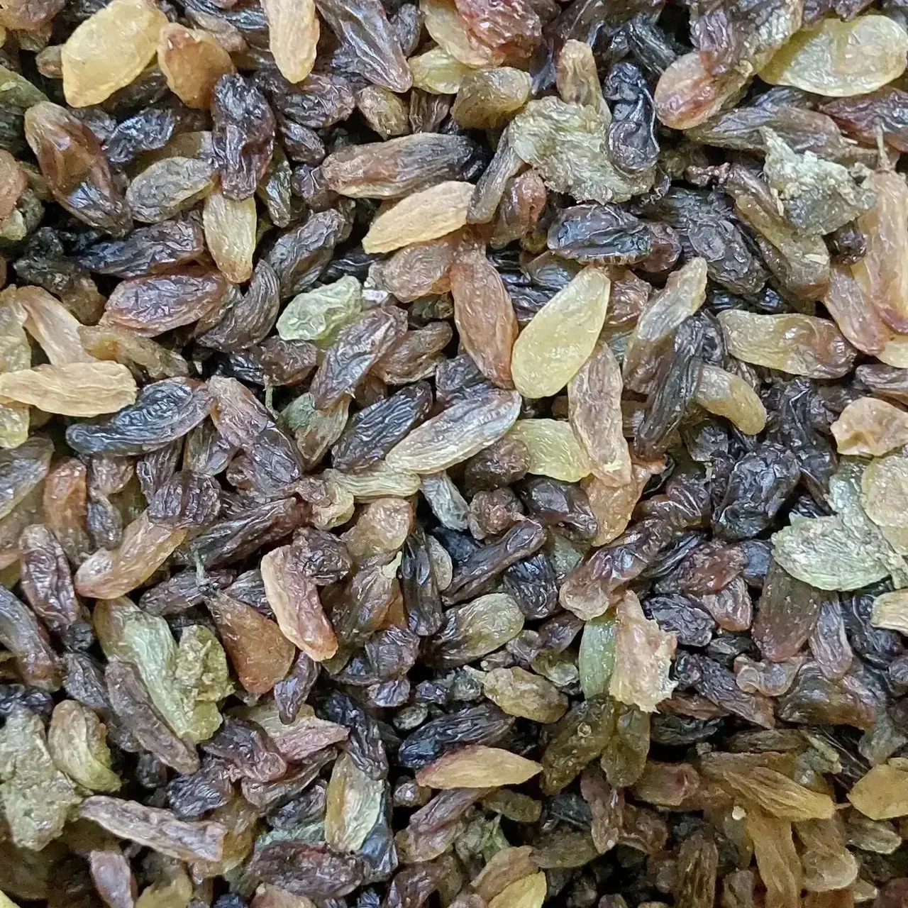 کشمش افتابی وخشکبار علیزاده - تصویر 2