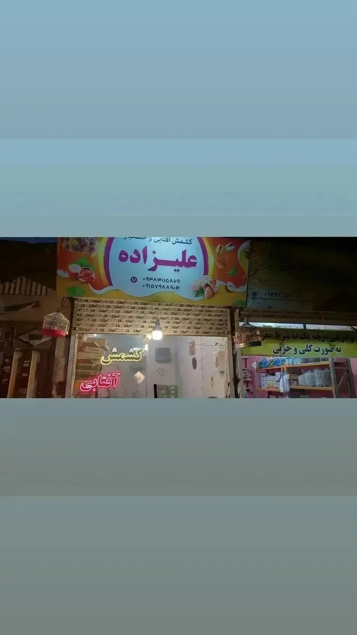 کشمش افتابی وخشکبار علیزاده - تصویر 5