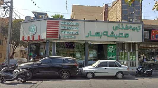 تهیه غذا همیشه بهار