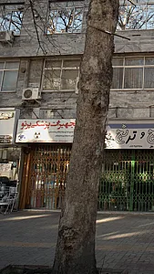 تجهیزات پزشکی پرتو
