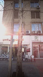 تجهیزات پزشکی کاملیا