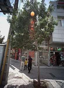 آجیل و خشکبار علیزاده