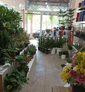 گل فروشی شهرگل