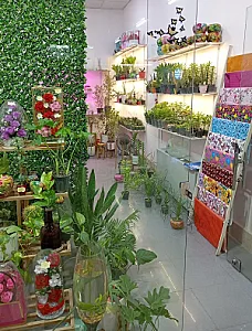 گل و گیاه سرزمین سبز